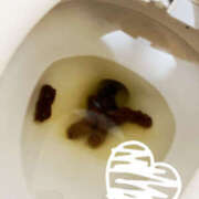 ヒメ日記 2026/02/21 20:35 投稿 ひまり 排泄マニア