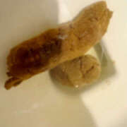 ヒメ日記 2026/03/15 19:22 投稿 ひまり 排泄マニア