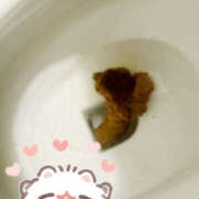 ヒメ日記 2026/03/22 14:44 投稿 ひまり 排泄マニア
