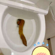 ヒメ日記 2026/04/06 12:05 投稿 ひまり 排泄マニア