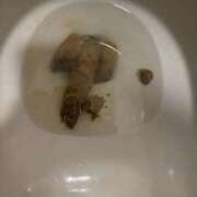 ヒメ日記 2026/04/09 15:27 投稿 ひまり 排泄マニア