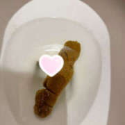 ヒメ日記 2026/04/20 18:54 投稿 ひまり 排泄マニア