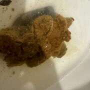 ヒメ日記 2026/04/21 15:06 投稿 ひまり 排泄マニア