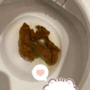 ヒメ日記 2026/10/13 10:27 投稿 ひまり 排泄マニア