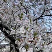 ヒメ日記 2025/04/07 09:12 投稿 成海（なるみ） ビッグバード