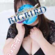 ヒメ日記 2025/07/21 09:14 投稿 成海（なるみ） ビッグバード