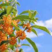 ヒメ日記 2025/10/21 06:44 投稿 成海（なるみ） ビッグバード