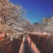 ヒメ日記 2026/03/20 08:24 投稿 成海（なるみ） ビッグバード