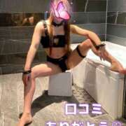 ヒメ日記 2025/08/15 12:05 投稿 きぃ（淫乱保育士×変態プレイ！ ハニービー（Honey Bee）