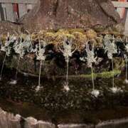 ヒメ日記 2025/01/06 10:43 投稿 いおり 横浜シンデレラ（シンデレラグループ）