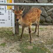 ヒメ日記 2025/10/19 21:14 投稿 いおり 横浜シンデレラ（シンデレラグループ）