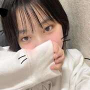 ヒメ日記 2025/11/26 14:28 投稿 いおり 横浜シンデレラ（シンデレラグループ）