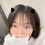 ヒメ日記 2026/02/24 15:43 投稿 いおり 横浜シンデレラ（シンデレラグループ）