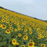 ヒメ日記 2025/07/08 11:51 投稿 なつみ 北九州人妻倶楽部（三十路、四十路、五十路）