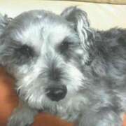 ヒメ日記 2025/07/29 19:45 投稿 なつみ 北九州人妻倶楽部（三十路、四十路、五十路）