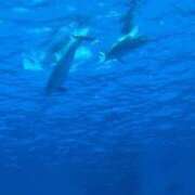 ヒメ日記 2026/02/28 10:00 投稿 吉浜 美緒 人妻セレブ宮殿