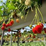 ヒメ日記 2026/03/02 11:15 投稿 吉浜 美緒 人妻セレブ宮殿