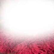 ヒメ日記 2026/03/08 11:27 投稿 吉浜 美緒 人妻セレブ宮殿