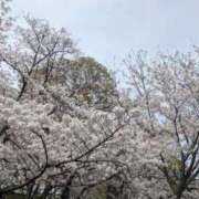 ヒメ日記 2026/03/08 13:15 投稿 吉浜 美緒 人妻セレブ宮殿