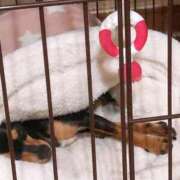 ヒメ日記 2026/03/09 00:58 投稿 吉浜 美緒 人妻セレブ宮殿