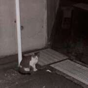 ヒメ日記 2026/03/10 20:18 投稿 吉浜 美緒 人妻セレブ宮殿