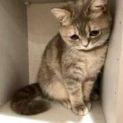 ヒメ日記 2024/12/14 12:03 投稿 ひな アイドルチェッキーナ本店