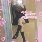 ヒメ日記 2025/01/15 19:42 投稿 ひな アイドルチェッキーナ本店