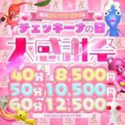 ヒメ日記 2025/02/16 13:52 投稿 ひな アイドルチェッキーナ本店
