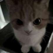 ヒメ日記 2025/03/02 21:22 投稿 ひな アイドルチェッキーナ本店