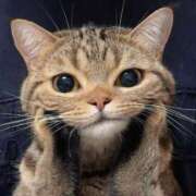 ヒメ日記 2025/04/27 08:42 投稿 ひな アイドルチェッキーナ本店