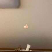 ヒメ日記 2025/05/11 09:03 投稿 ひな アイドルチェッキーナ本店