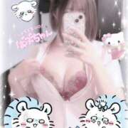 ヒメ日記 2025/05/14 08:22 投稿 ひな アイドルチェッキーナ本店