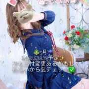 ヒメ日記 2025/05/19 20:42 投稿 ひな アイドルチェッキーナ本店