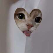 ヒメ日記 2025/06/09 13:22 投稿 ひな アイドルチェッキーナ本店