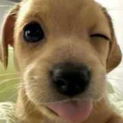 ヒメ日記 2025/07/09 17:42 投稿 ひな アイドルチェッキーナ本店