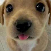 ヒメ日記 2025/07/13 09:22 投稿 ひな アイドルチェッキーナ本店