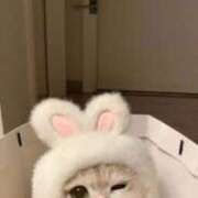 ヒメ日記 2025/07/25 18:22 投稿 ひな アイドルチェッキーナ本店