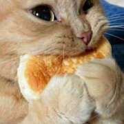 ヒメ日記 2025/07/26 10:52 投稿 ひな アイドルチェッキーナ本店