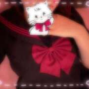 ひな だめ、、 アイドルチェッキーナ本店