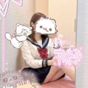 ヒメ日記 2026/06/09 19:11 投稿 ひな アイドルチェッキーナ本店