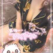 ひな にゃんっ🐈‍⬛🎀 アイドルチェッキーナ本店