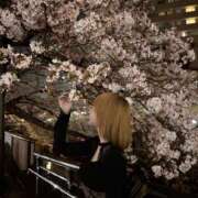 ヒメ日記 2025/04/11 18:03 投稿 さく OKINI立川