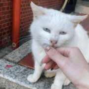 ヒメ日記 2025/08/09 02:42 投稿 さく OKINI立川