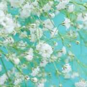 ヒメ日記 2024/12/14 09:36 投稿 西野 熟女の風俗最終章 新横浜店