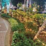 ヒメ日記 2024/12/18 20:06 投稿 西野 熟女の風俗最終章 新横浜店