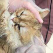 ヒメ日記 2025/03/02 17:02 投稿 西野 熟女の風俗最終章 新横浜店