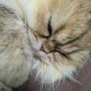 ヒメ日記 2025/05/16 10:02 投稿 西野 熟女の風俗最終章 新横浜店