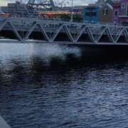 ヒメ日記 2025/06/12 10:30 投稿 西野 熟女の風俗最終章 新横浜店