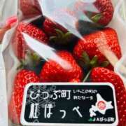 ヒメ日記 2025/05/12 12:15 投稿 藤堂みさ お姉さんLABO -艶-