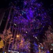 ヒメ日記 2024/12/23 03:51 投稿 きらり LEVEL1